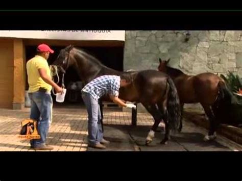 japonesa folla duro|La polla del caballo llena mi coño .